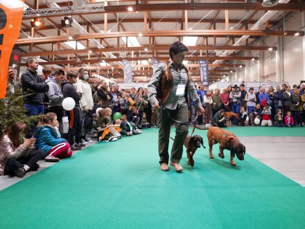 targihuntandfishexpo (86).jpg