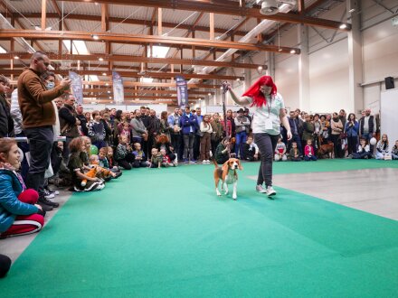 targihuntandfishexpo (84).jpg
