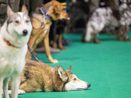 HUNT EXPO 2023 16.jpg