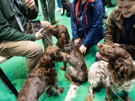 HUNT EXPO 2023 7.jpg
