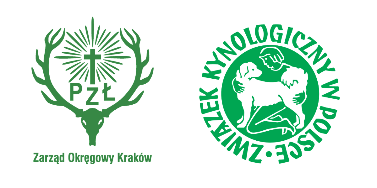 ZOPZŁZKwP.png [224.67 KB]